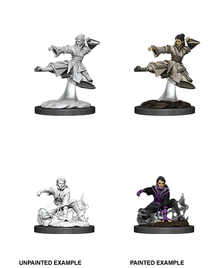Wizkids: D&D Nolzur's Marvelous Unpainted Minis: W11: Female Human Monk