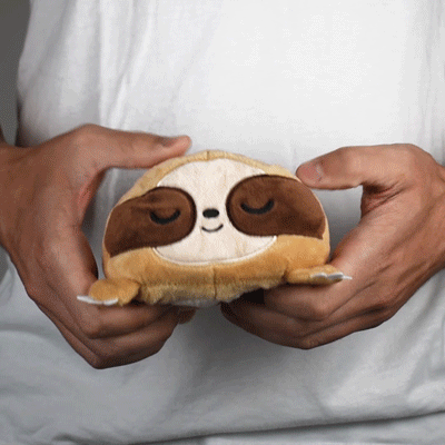 TT: Reversible Mini Plush: Sloth
