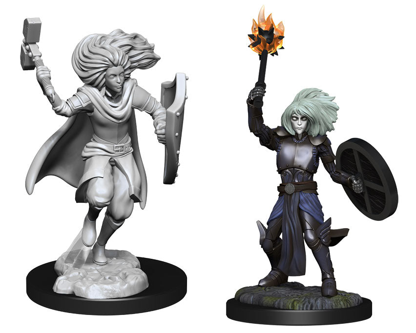 D&D Nolzur's Marvelous Miniatures: Changeling Cleric (Male)