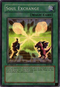 Soul Exchange (SDY-041) (SDY)