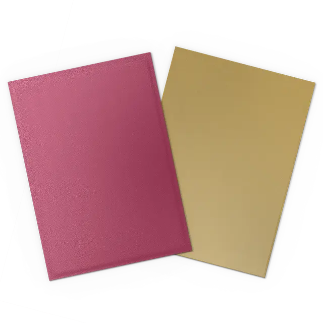 DragonShield: Deck Protectors: Dual Matte: Pomegranate & Gold