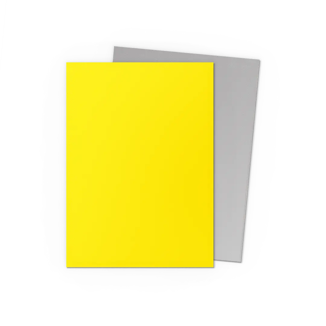 DragonShield: Deck Protectors: Dual Matte: Yellow & Silver