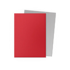 DragonShield: Deck Protectors: Dual Matte: Crimson & Silver