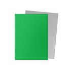 DragonShield: Deck Protectors: Dual Matte: Apple Green & Silver