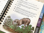 Loresmyth: Wondrous Expeditions: Forests: Pocket Guide