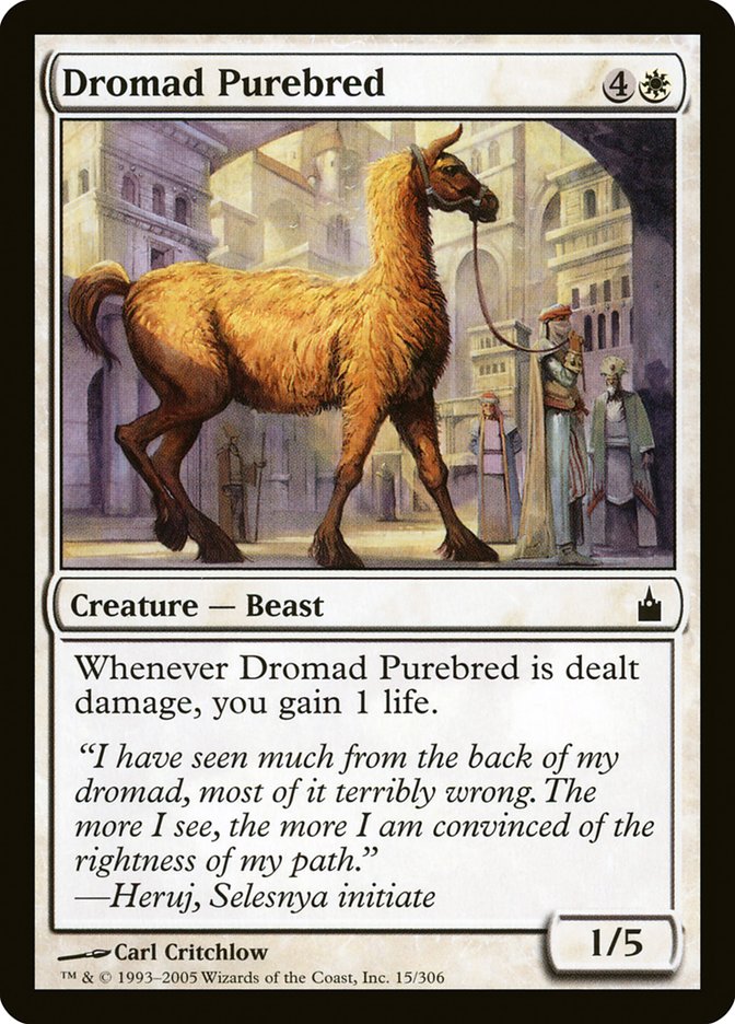 Dromad Purebred [Ravnica: City of Guilds] - Chimera Hobby & Games