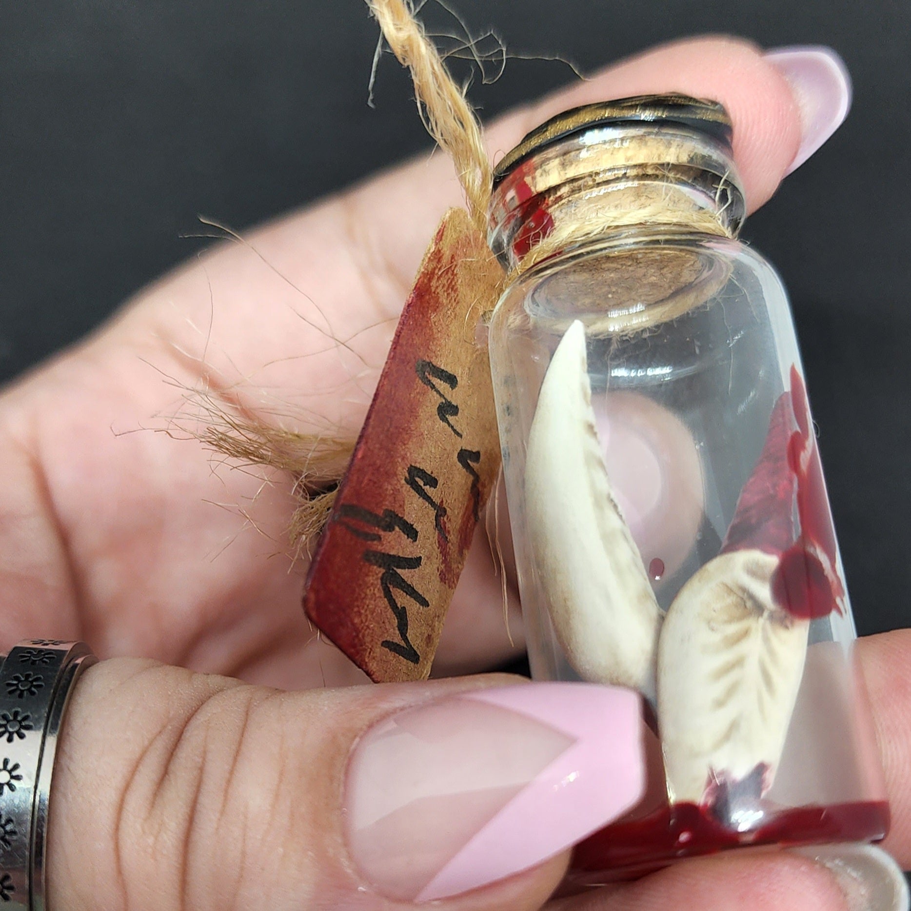 T&T: Handmade Vampire Teeth Trophy Prop