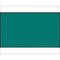 NestedEgg: Playmat: Blank Jade