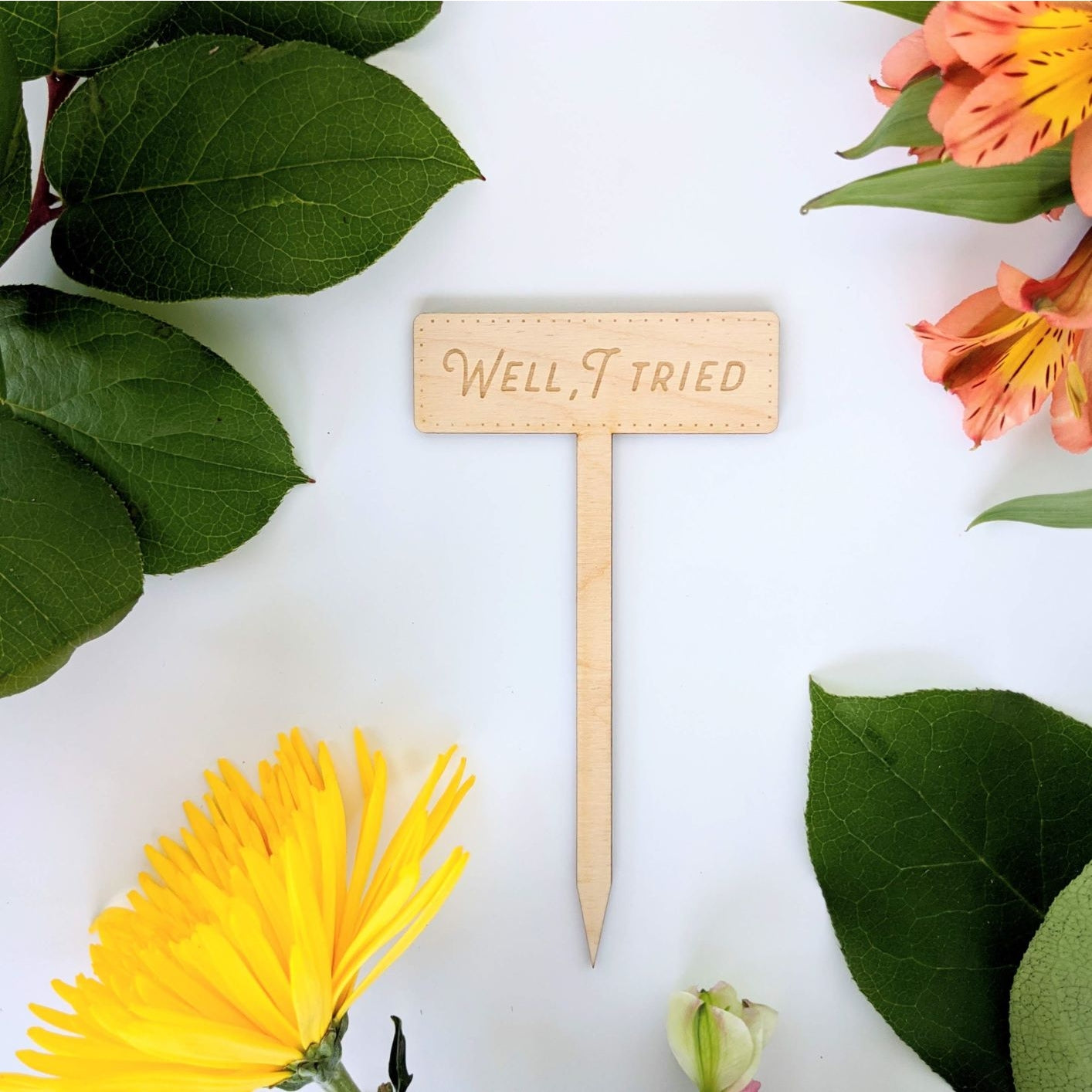 North to South Designs: Wood: Garden Marker: Well, I tried