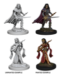 Wizkids: Pathfinder Battles: Deep Cuts Unpainted Minis: W4: Human Female Bard