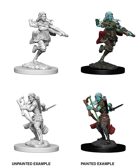 Wizkids: D&D Nolzur's Marvelous Unpainted Minis: W4: Air Genasi Female Rogue