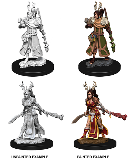 Wizkids: D&D Nolzur's Marvelous Unpainted Minis: W9: Human Druid Female