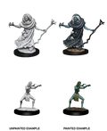 Wizkids: D&D Nolzur's Marvelous Unpainted Minis: W12: Sea Hag & Bheur Hag