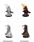 Wizkids: Pathfinder Battles: Deep Cuts Unpainted Minis: W12: Cultist & Devil