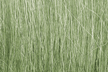Woodland Scenics: Field Grass - Light Green