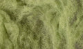 Woodland Scenics: Wild Fiber