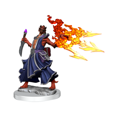 Wizkids: Frameworks: Female Dragonborn Sorcerer