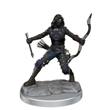 Wizkids: Frameworks: Female Human Rogue
