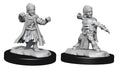 Wizkids: Pathfinder Battles: Deep Cuts Unpainted Minis: W15: Male Halfling Monk