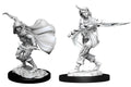Wizkids: Pathfinder Battles: Deep Cuts Unpainted Minis: W14: Female Human Rogue