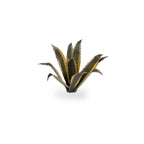 Gamer's Grass: Laser Plants: