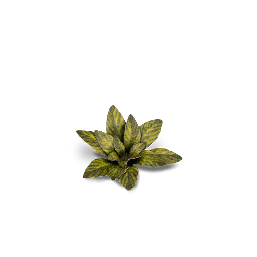 Gamer's Grass: Laser Plants: