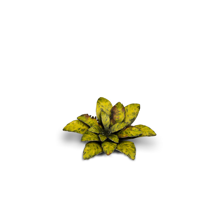 Gamer's Grass: Laser Plants:
