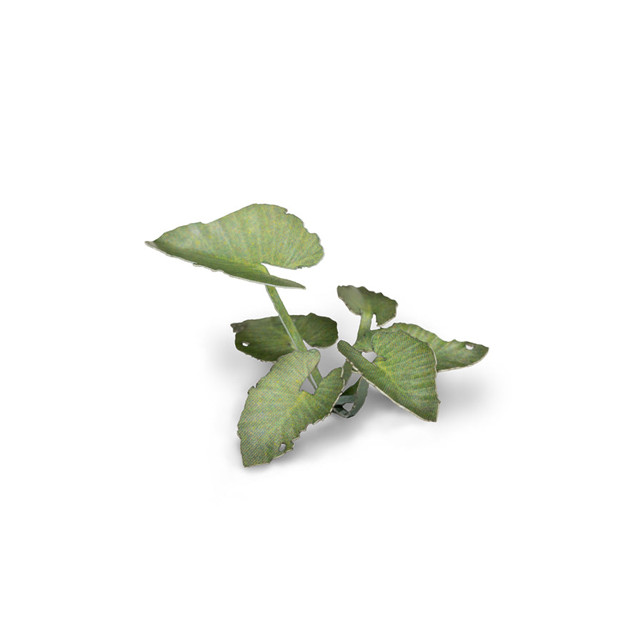 Gamer's Grass: Laser Plants: