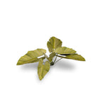 Gamer's Grass: Laser Plants: