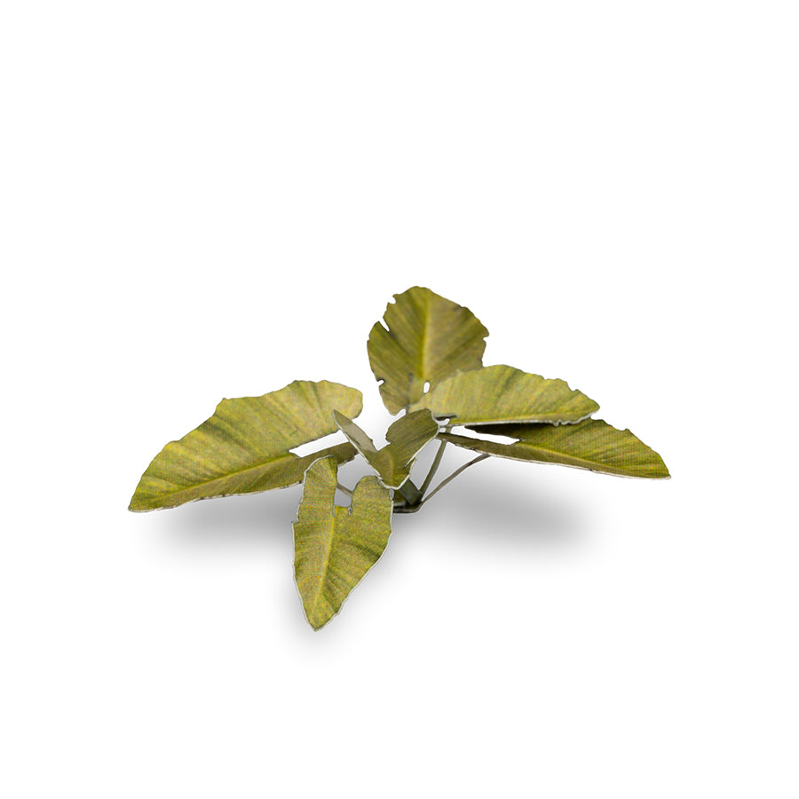 Gamer's Grass: Laser Plants: