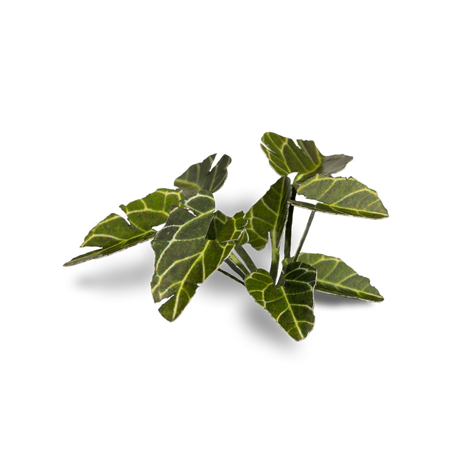 Gamer's Grass: Laser Plants: