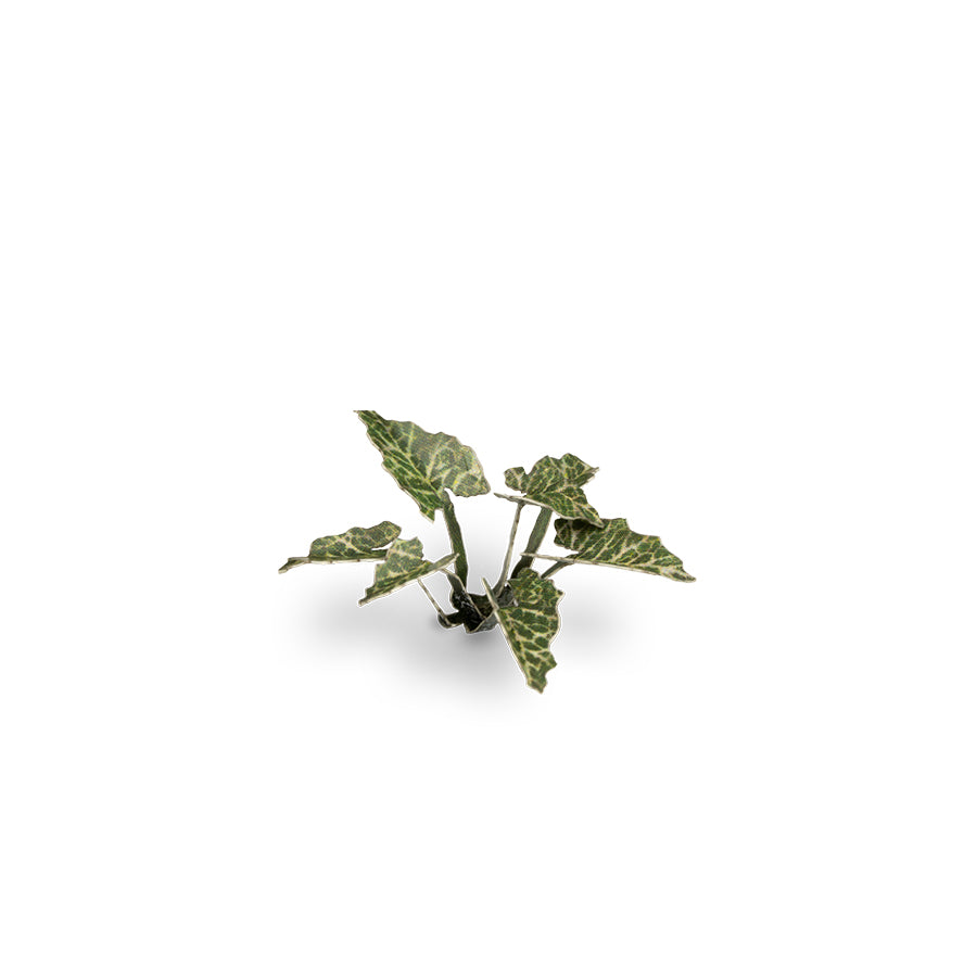 Gamer's Grass: Laser Plants: