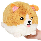 Plush: Squishable: Mini: Baby Corgi