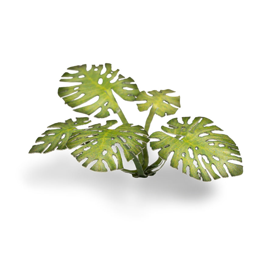 Gamer's Grass: Laser Plants: