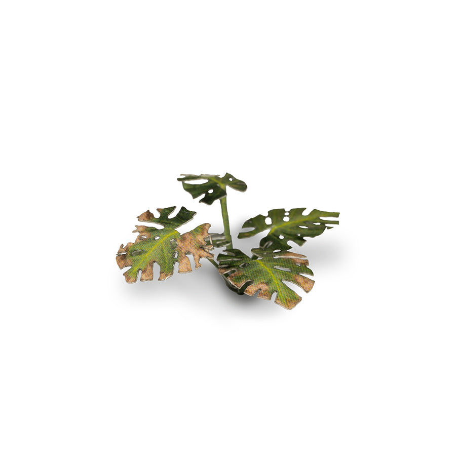 Gamer's Grass: Laser Plants: