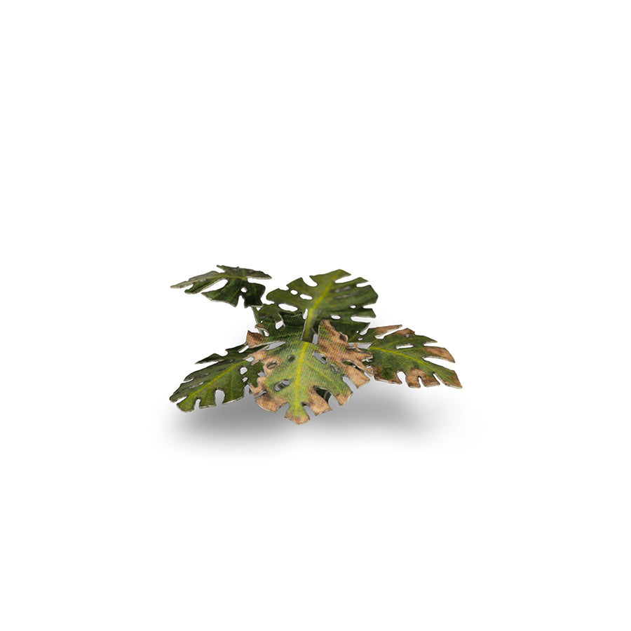 Gamer's Grass: Laser Plants: